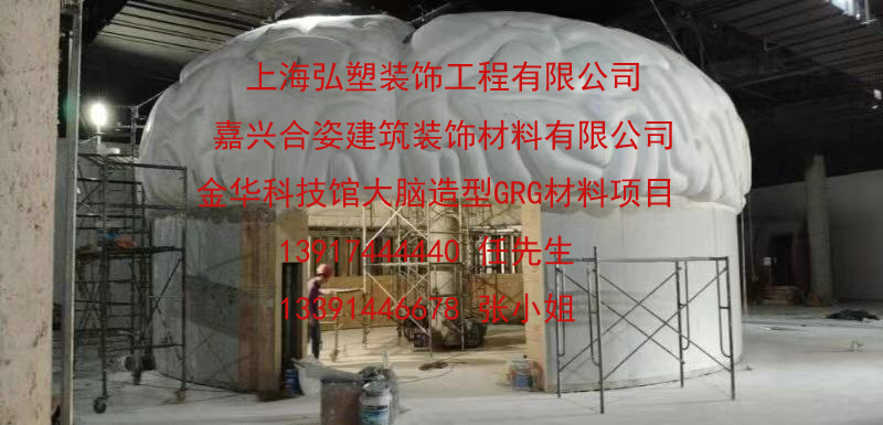 祝賀金華科技館GRG材料吊頂、GRG異形大腦造型吊頂、GRGG1